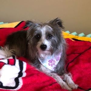 Meet your Posher, Ali